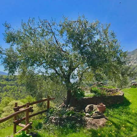 Lägenhet La Casa Del Sole *